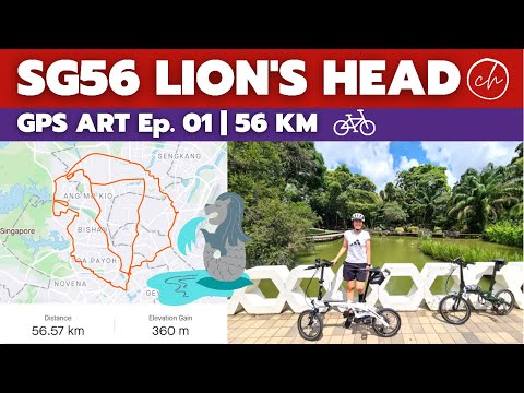 56KM | Lion’s Head Cycling Route (PCN Version)