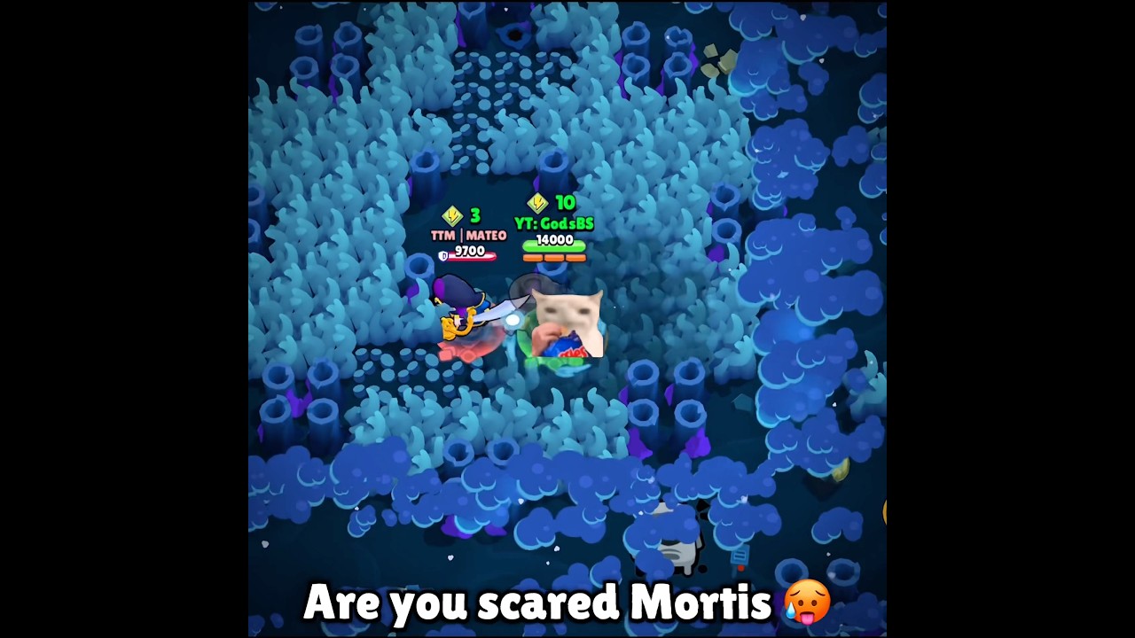 Bro started kissing the wall… 💀