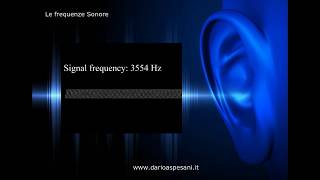 Le frequenze sonore da 20 a 19 995 hz.  Fai il test!
