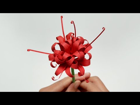 Realistic Paper Spider Lily (Easy Tutorial, Looks Real)