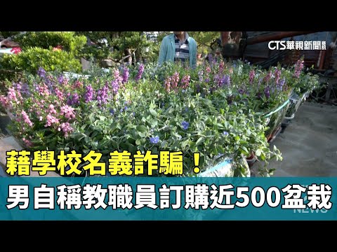藉學校名義詐騙！　男自稱教職員訂購近500盆栽