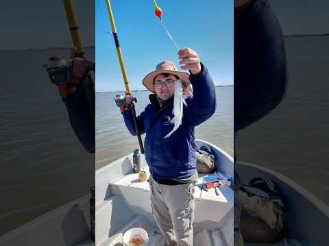 Laguna La Gringa General Viamonte #pesca #pejerrey #fishing #aventura
