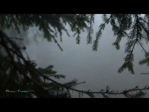 ATM Infected x Pato || Weightless