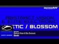 Abstract Vision & Elite Electronic - Kinetic ...