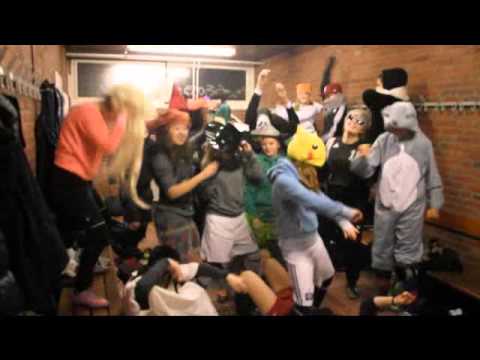 Harlem Shake 2013