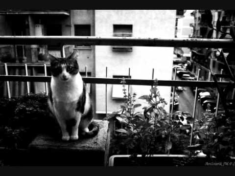 Έλλη Πασπαλά- Ζω εδώ