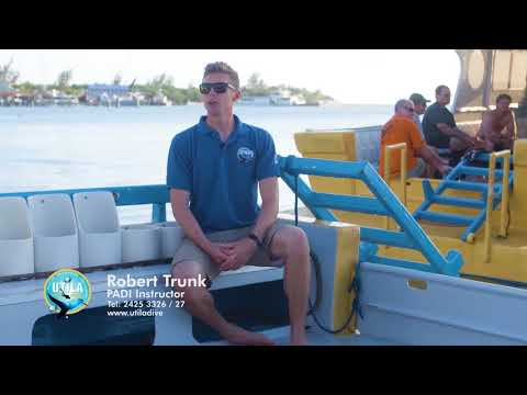 COME DIVING WITH UDC!