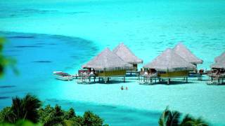 Orkidea ft.David West-God s Garden (Original mix)