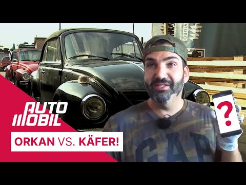 Orkan imports VW Beetles from America! | auto mobil