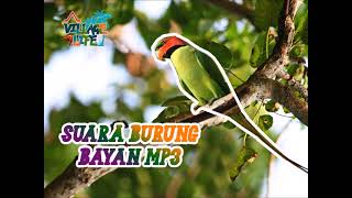 Download lagu Suara Burung Bayan - village life mp3