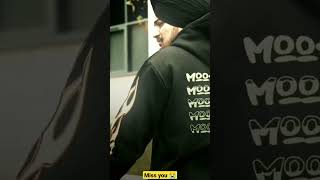 Download lagu asi bande aa villion goriye #viral #sidhumoosewala #ytshort #short #newvideo ♥️😭 mp3 Download lagu asi bande aa villion goriye #viral #sidhumoosewala #ytshort #short #newvideo ♥️😭 mp3