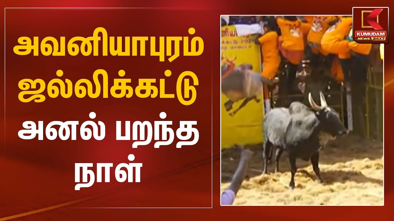 அவனியாபுரம் ஜல்லிக்கட்டு – அனல் பறந்த நாள் | Jallikattu 2026 | Kumudam News