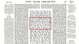 דף יומי מסכת שבועות דף יד Daf yomi Masechet Shevuot page 14  ע"י יוני גוטמן (שיעורי הדף היומי ב-20 דקות – מועבר ע"י ר' יוני גוטמן – לעילוי נשמת אביו ר' אלימלך צבי (צביקה) גוטמן ז"ל) - התמונה מוצגת ישירות מתוך אתר האינטרנט יוטיוב. זכויות היוצרים בתמונה שייכות ליוצרה. קישור קרדיט למקור התוכן נמצא בתוך דף הסרטון