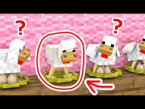 Poor Chicken, Can't Lay Eggs - Sad Story - Minecraft Animation