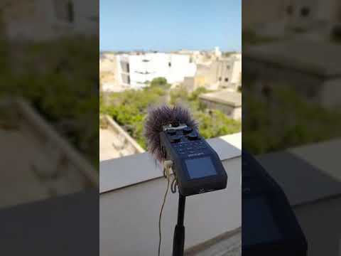 Sounds of a rural Maltese core village