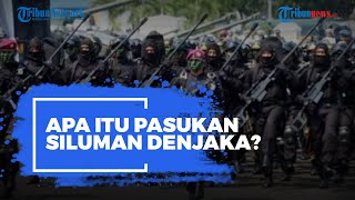 Apa Itu Pasukan Siluman Denjaka?