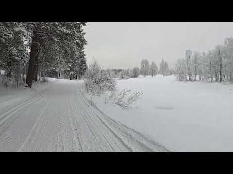 Länsman satte luffare i tvångsarbete under 1800 - 1900  talet !