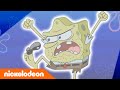 SpongeBob SquarePants | Steentijd-spons | Nickelodeon Nederlands