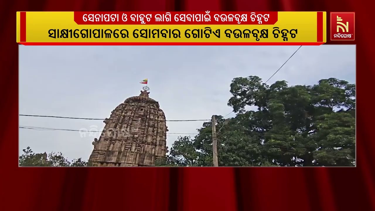 ଶ୍ରୀଜଗନ୍ନାଥ ମହାପ୍ରଭୁଙ୍କ ସେନାପଟା ଓ ବାହୁଟ ଲାଗି ସେବା ପ?