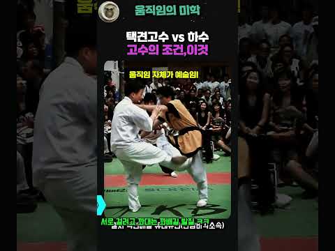 택견고수의 조건 #taekkyeon