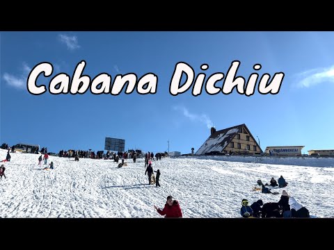 Cabana Dichiu  in Transbucegi - O zi perfecta de Sanius