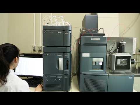 応用生物科学部 醸造科学科