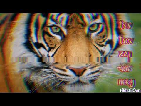 txiv tsov zaj dab neeg