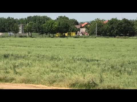 Trka "Mlava" 16.06.2019 Solvalino - Zoran Petrović