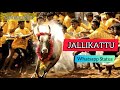 Jallikattu Alanganallur Whatsapp Status Samuel Haris