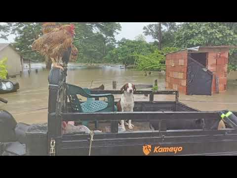 En la vereda Sirivana de Nunchía nivel de inundación alcanza un metro. Habitantes solicitan apoyo