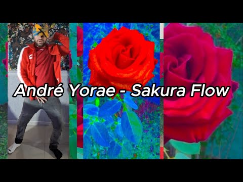 André Yorae - Sakura Flow