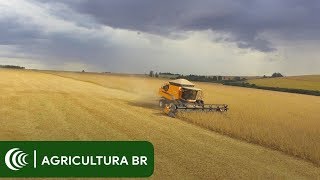 Miniatura do vídeo