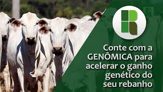 Miniatura do vídeo