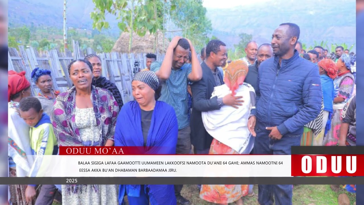 Mo'aa : Oduu Kamisa Galgalaa (Bitootessa 12. 2026) Finfinnee