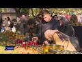 Sarbatoarea Sfântului Nectarie Universul Credintei 13 Nov 2022 TVR 1