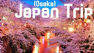 preview picture of video 'Japan trip  일본 여행 셋째날 - 지하철, 도보 이용'