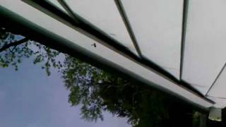 preview picture of video 'Bee Control Exclusion and Repairs NJ 732-640-5488 | Carpenter Bees Middlesex County New Jersey'