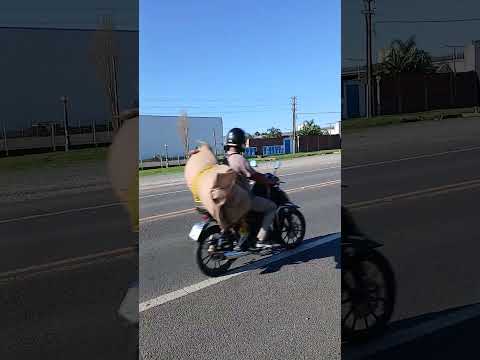 Colonia Avellaneda. Parana Campaña. Entre Rios. Parte 1