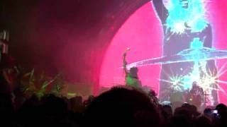 Flaming Lips - See the Leaves