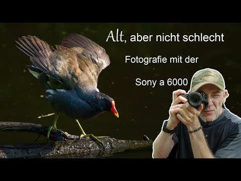 Abenteuer Naturfotografie / Alt, aber nicht schlecht. Fotografie mit der Sony a 6000