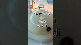 Sky Princess Catch By Rudi #shorts #sailawaywithbruceandeileen  #skyprincess