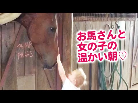 , title : 'お馬さんとのモーニングルーティーン✨'