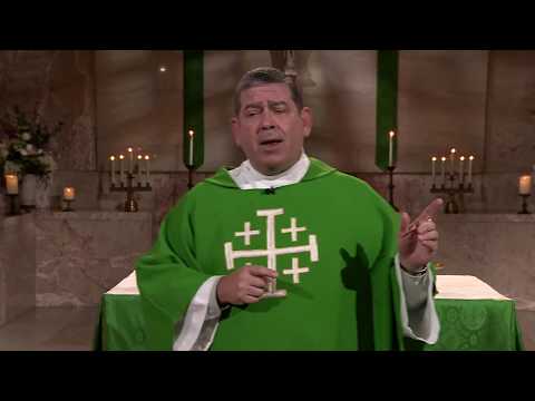 Fr. Scott Donahue's Homily - Thirteenth Sunday in Ordinary Time  - July 2, 2017