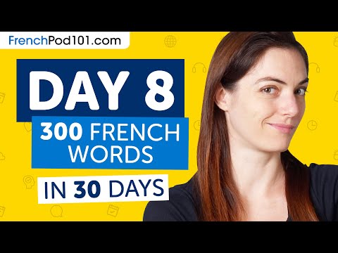 Day 8: 80/300 | Learn 300 French Words in 30 Days Challenge