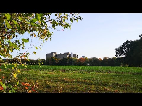 6 Wochen Bad Salzuflen (4K)