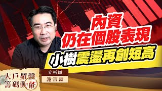 內資仍在個股表現 小樹震盪再創短高 (圖)