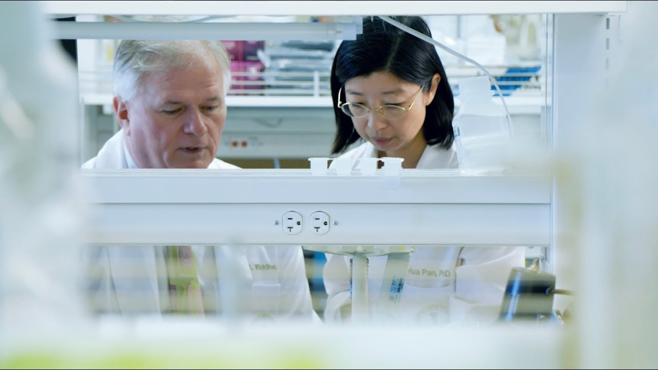 USF Health: Water Street Tampa