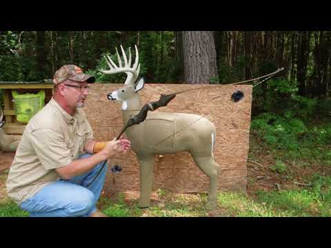 GlenDel 3D Buck Archery Target Review and unboxing
