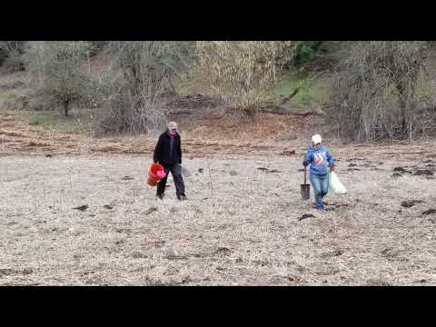 BBC 20230211 LCEP planting