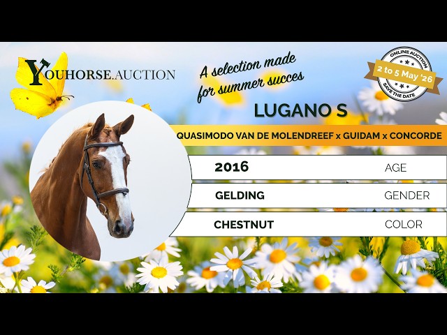 Lugano S